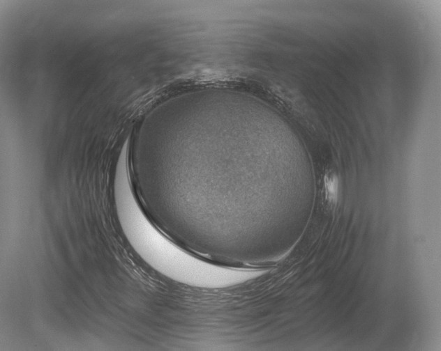 X0000080191348200612081416