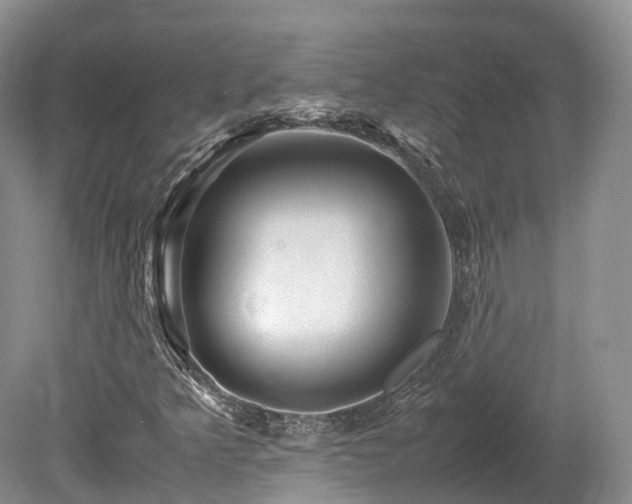 X0000080191349200612081416