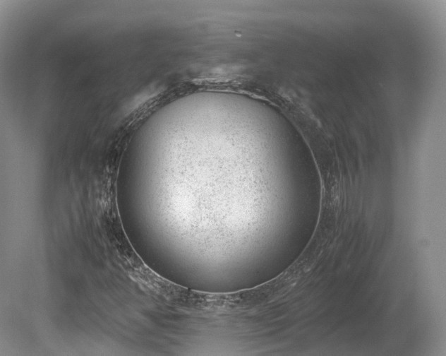 X0000080191350200612081416