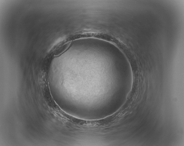 X0000080191351200612081416