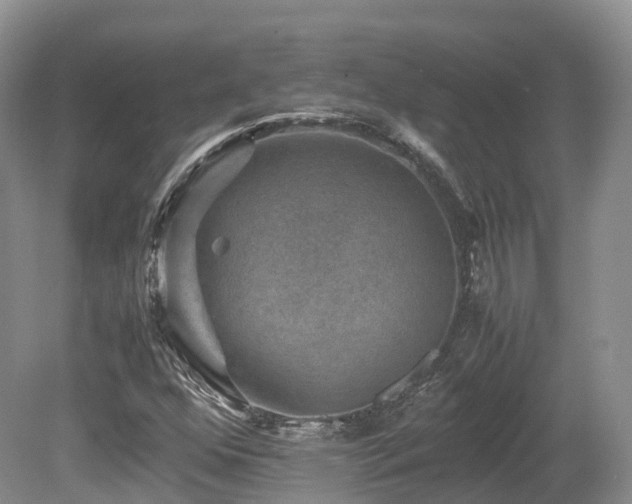 X0000080191352200612081416