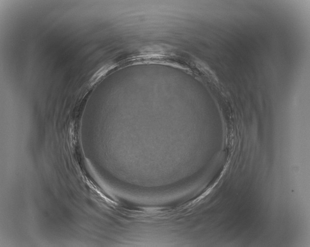 X0000080191353200612081416