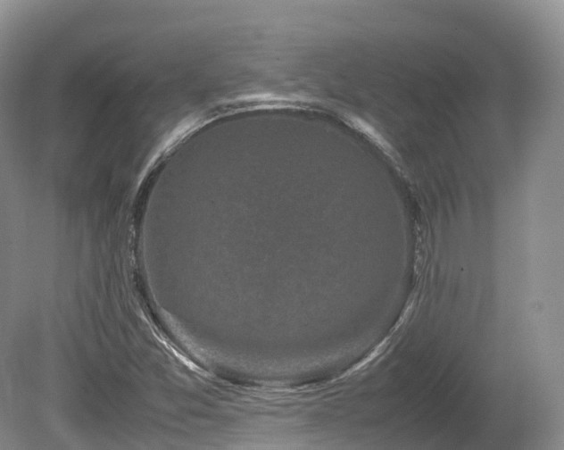 X0000080191357200612081416