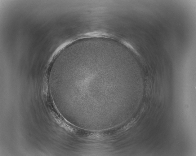 X0000080191358200612081416