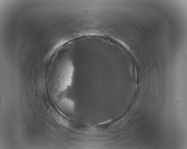 X0000080191359200612081416