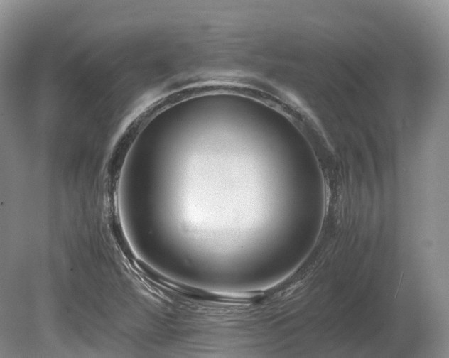 X0000080191360200612081416