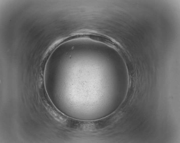 X0000080191363200612081416