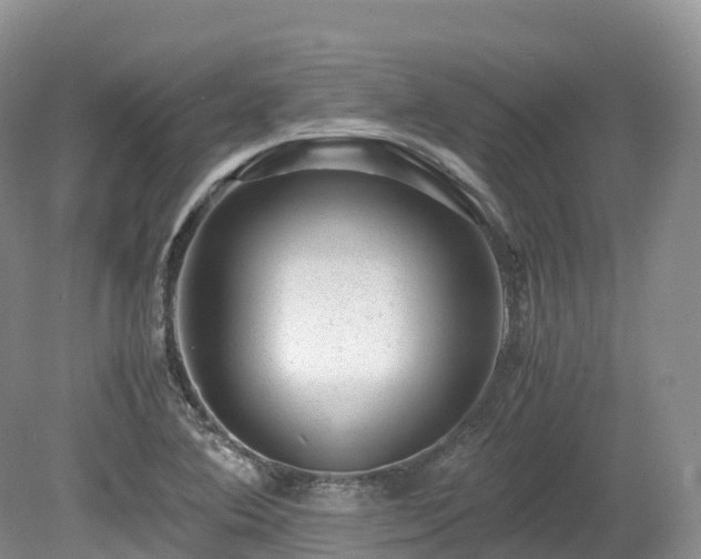 X0000080191364200612081416