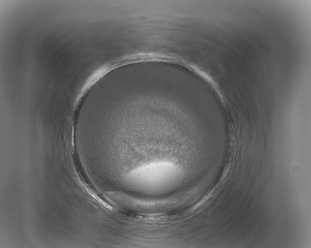 X0000080191365200612081416