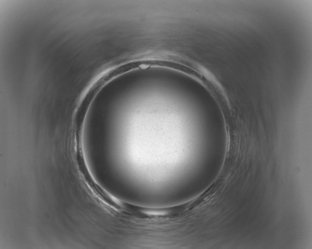 X0000080191368200612081416