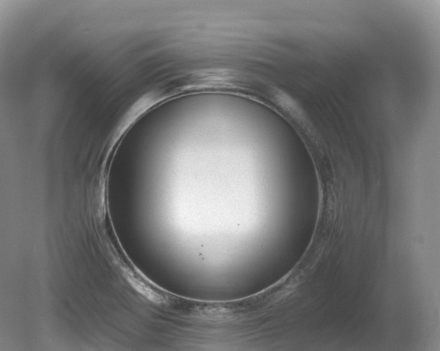 X0000080191370200612081416