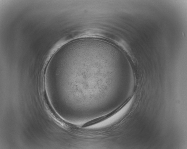 X0000080191371200612081416