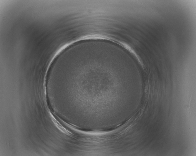 X0000080191372200612081416