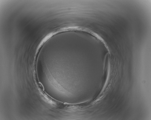 X0000080191373200612081416