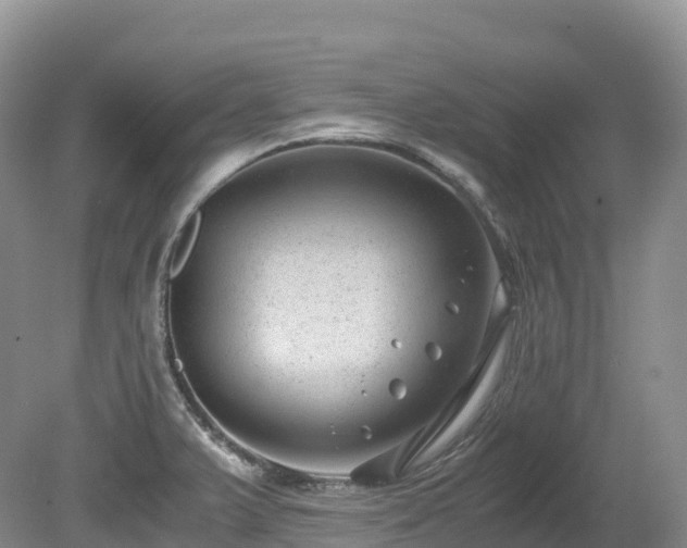 X0000080191375200612081416