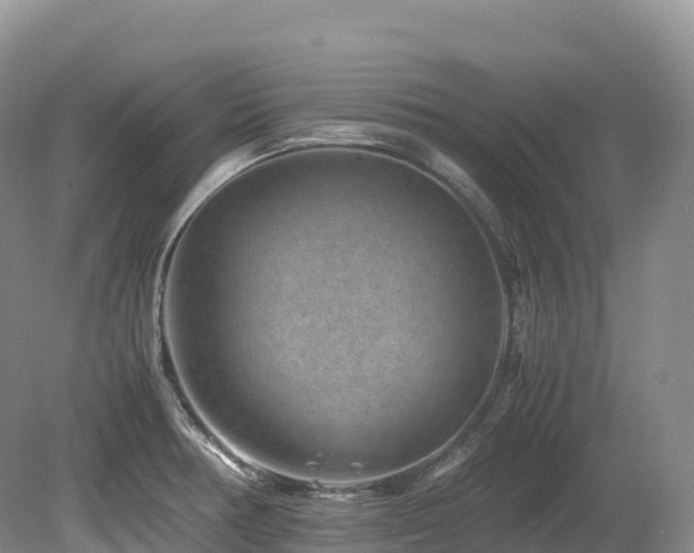 X0000080191378200612081416