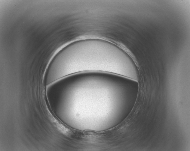 X0000080191380200612081416