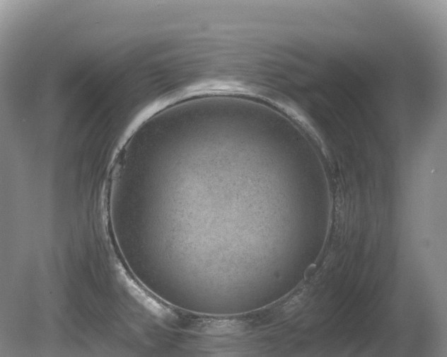 X0000080191382200612081416