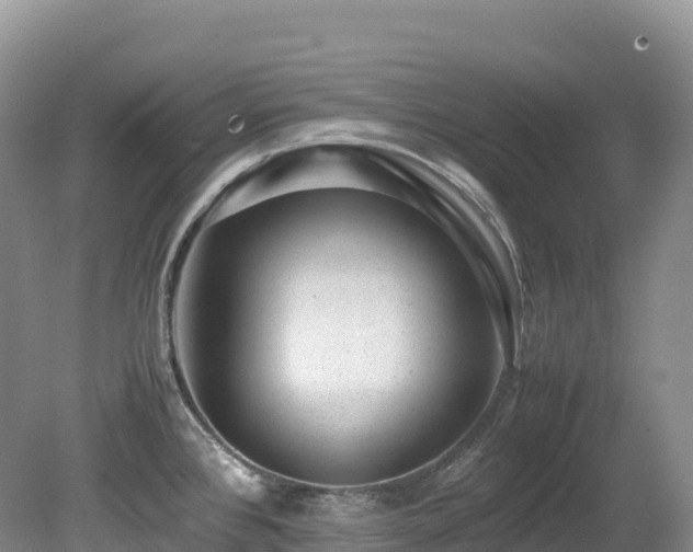X0000080191384200612081416