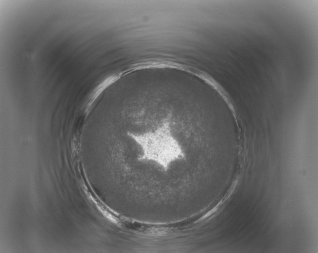 X0000080191385200612081416