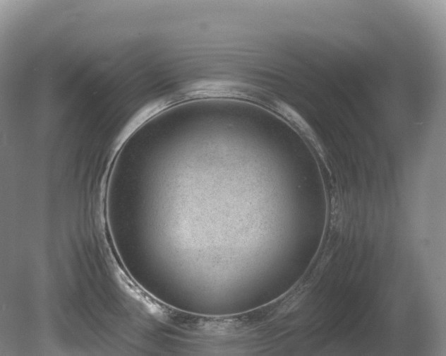 X0000080191386200612081416