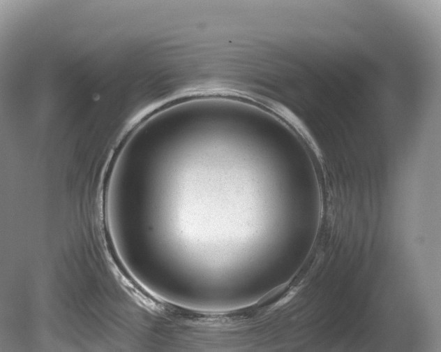 X0000080191388200612081416