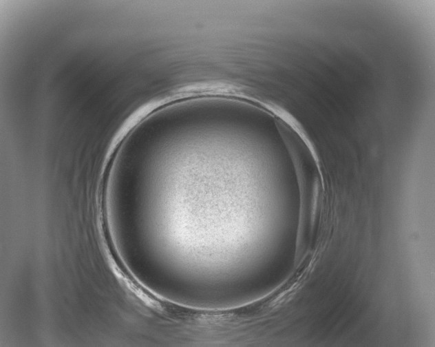 X0000080191389200612081416