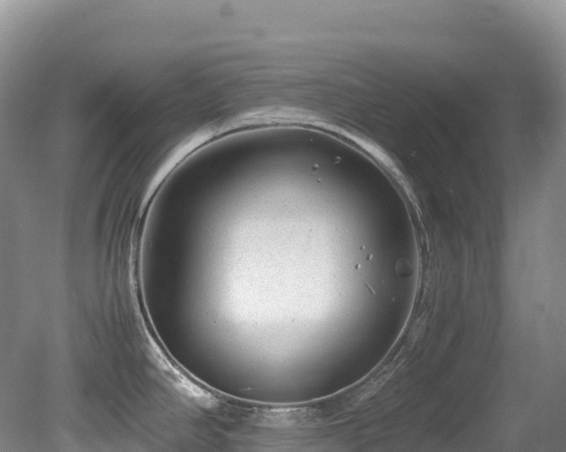 X0000080191390200612081416