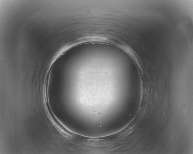 X0000080191391200612081416