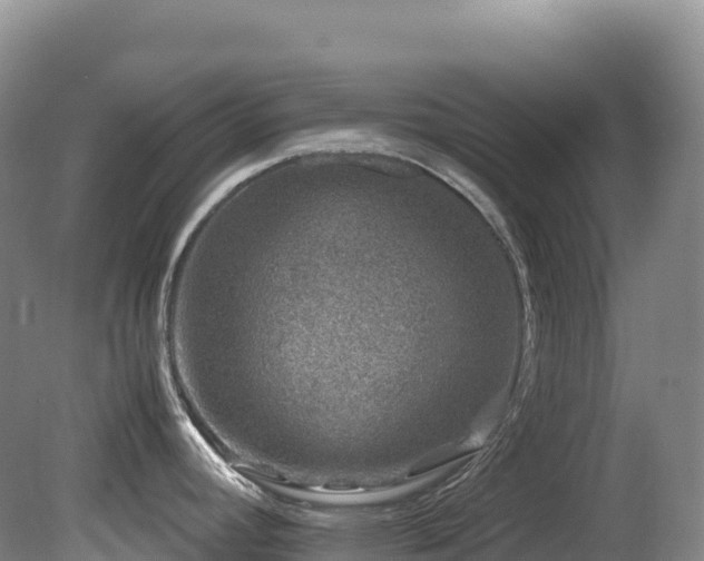 X0000080191392200612081416
