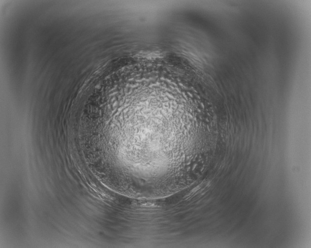 X0000080191393200612081415