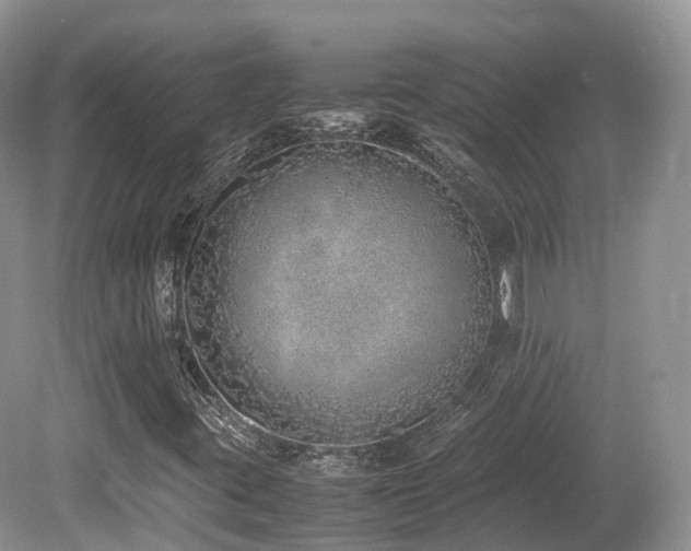 X0000080191395200612081415