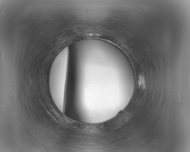 X0000080191396200612081415