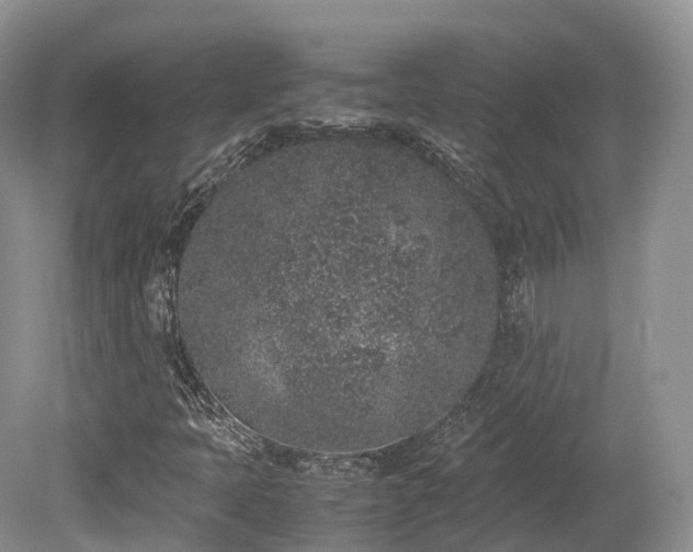 X0000080191397200612081415