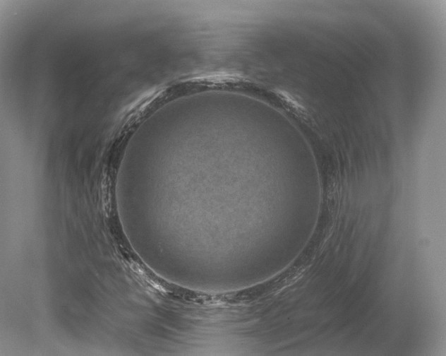 X0000080191398200612081415