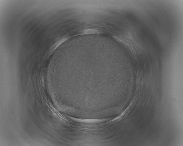 X0000080191401200612081415