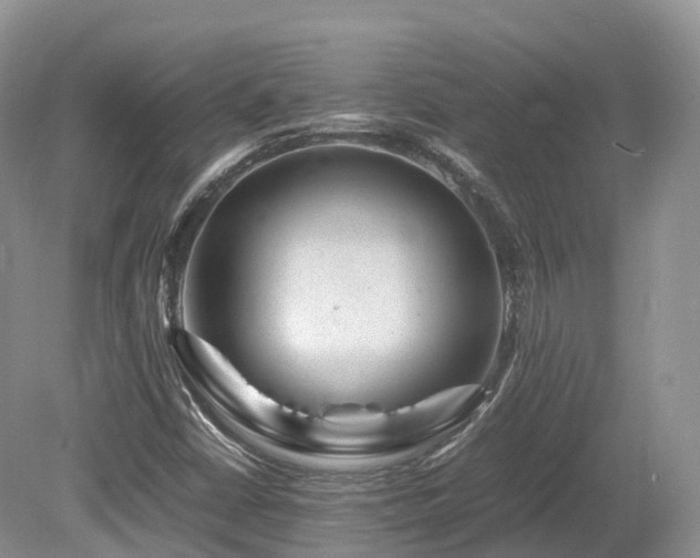 X0000080191402200612081415