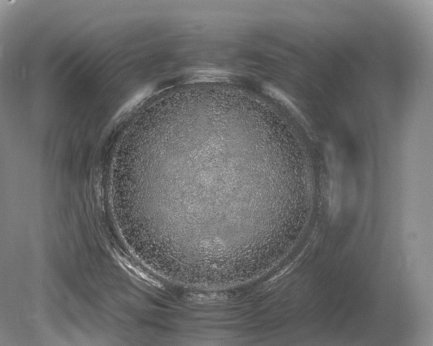 X0000080191403200612081415