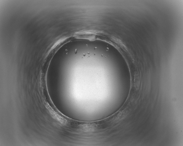 X0000080191404200612081415