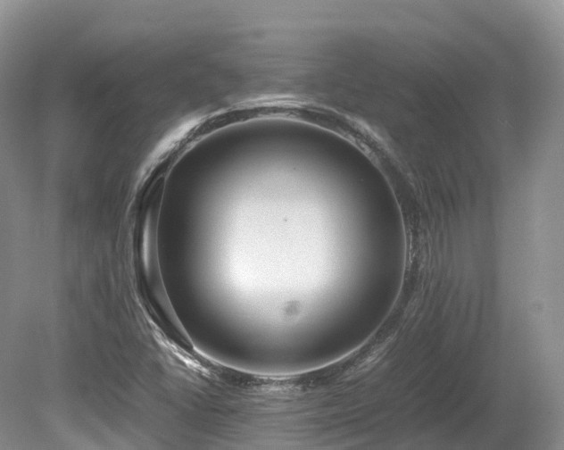 X0000080191406200612081415