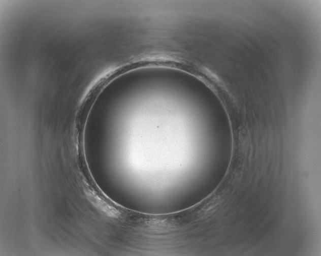 X0000080191408200612081415