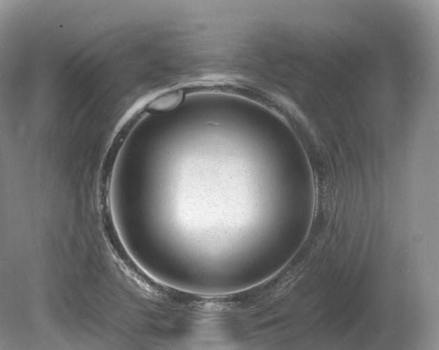 X0000080191412200612081415