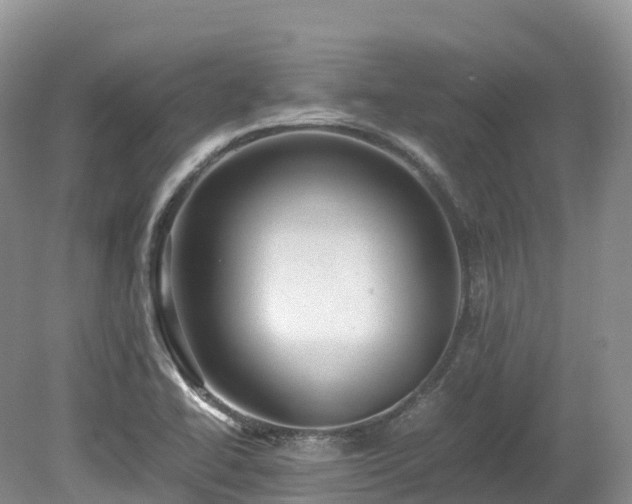 X0000080191414200612081415