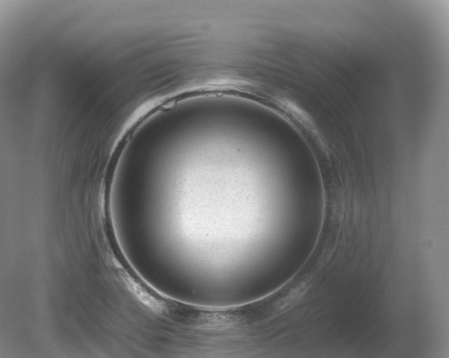 X0000080191420200612081415