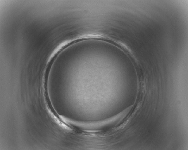 X0000080191422200612081415