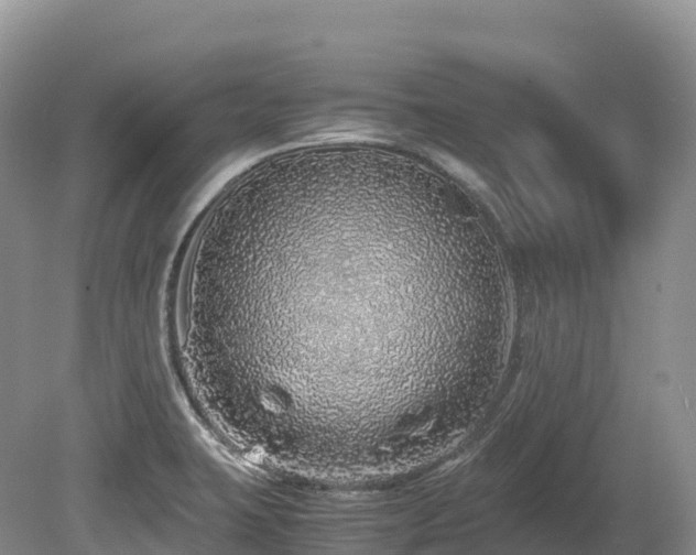 X0000080191423200612081415