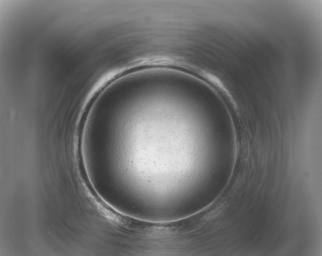 X0000080191424200612081415