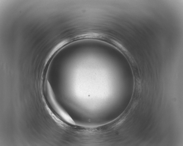 X0000080191426200612081415