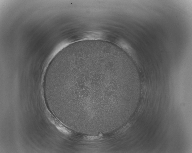 X0000080191427200612081415