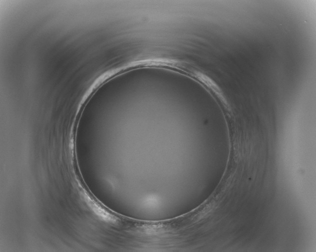 X0000080191428200612081415